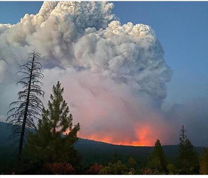 Forest fire in Oregon with blue sky 